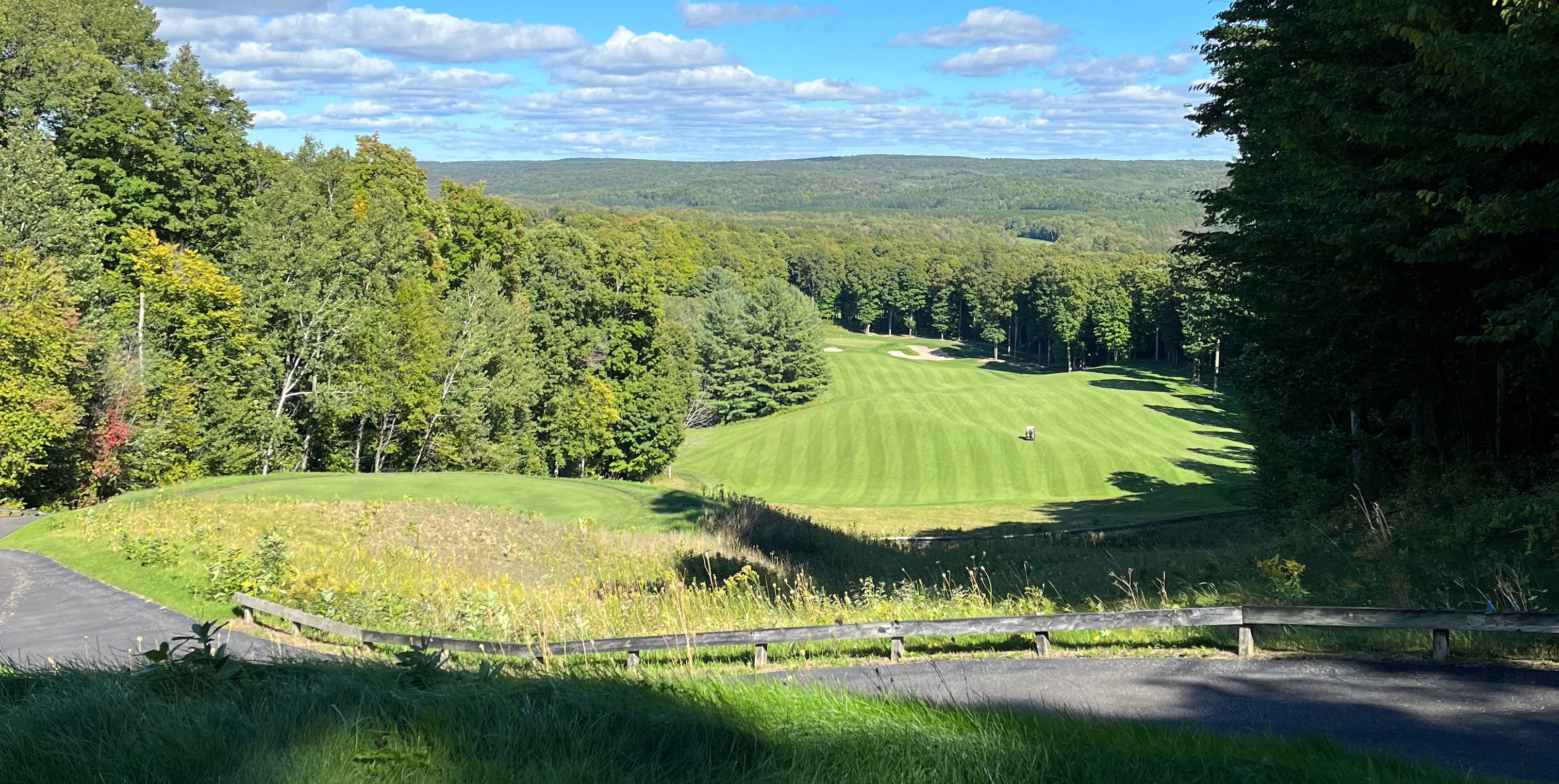 golf course fairway surrounded by trees